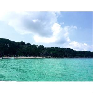 Meet your Posher, Lynn